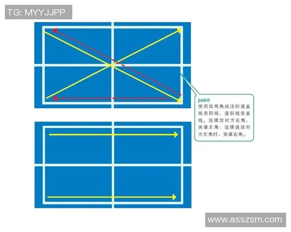 深入分析杭州乒乓球队边路渗透战术的独特魅力与实战应用