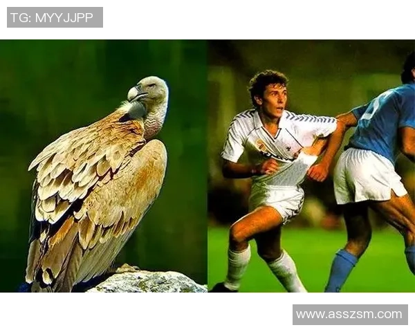 足球明星外号大揭秘你知道他们背后的故事吗